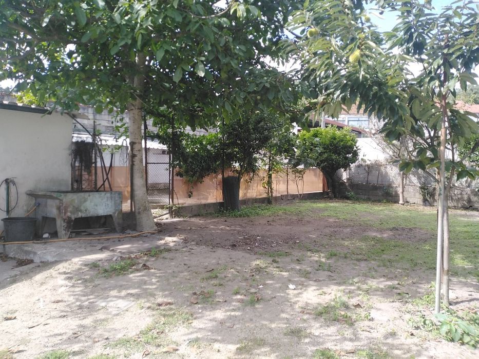 Vendo café+loja+terreno