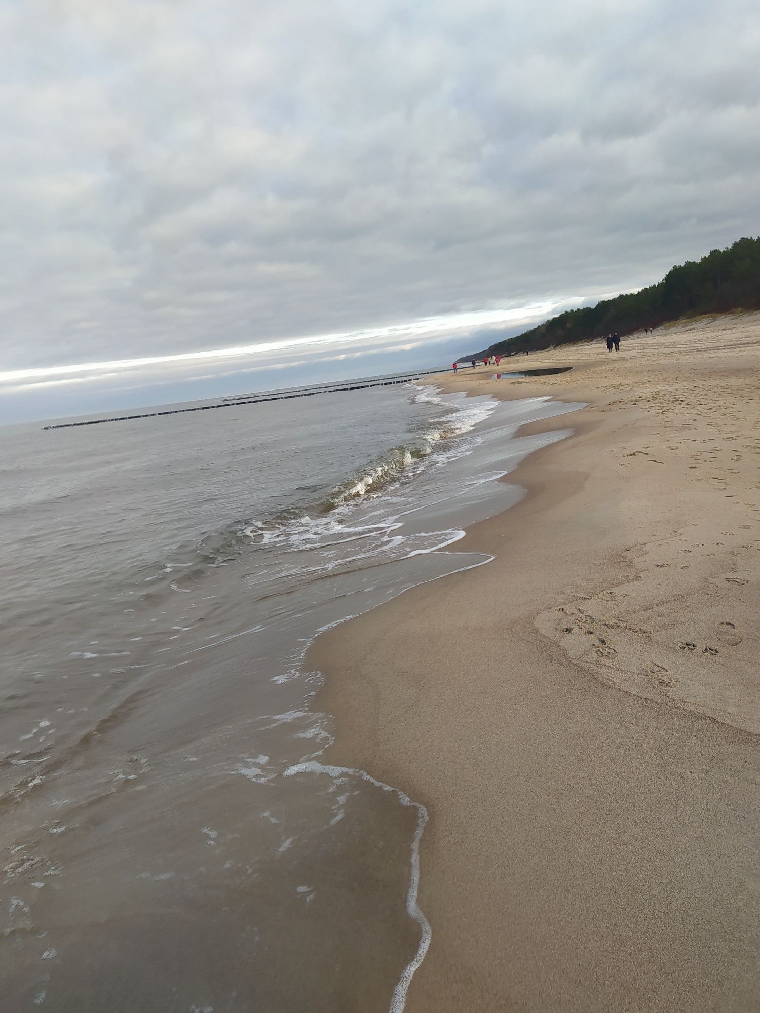 Pokoje do wynajęcia POBIEROWO