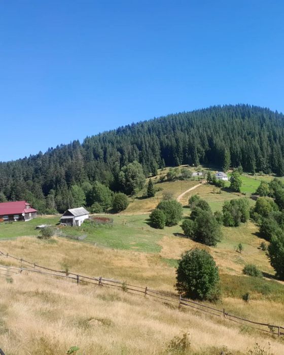 Земельна ділянка 1,86 га під будівництво та с/г / в Яблуниці