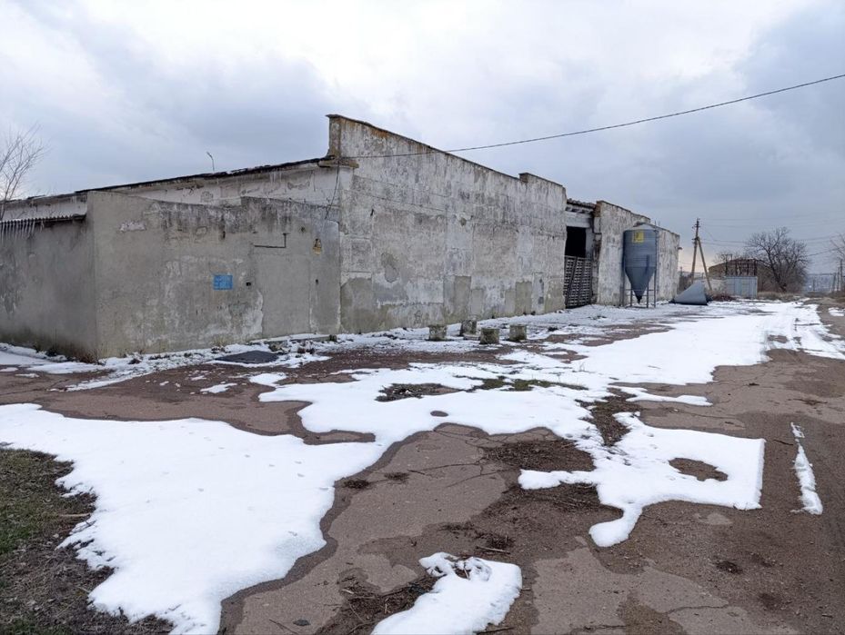 Агрокомплекс: птахофабрика + ферма з вирощування равликів, 19 га