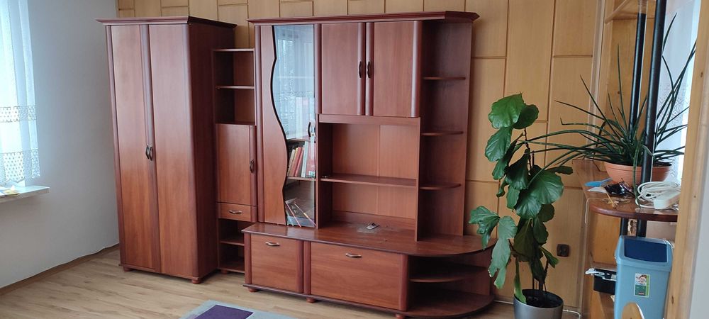 stylizowana meblościanka z ciemnego drewna