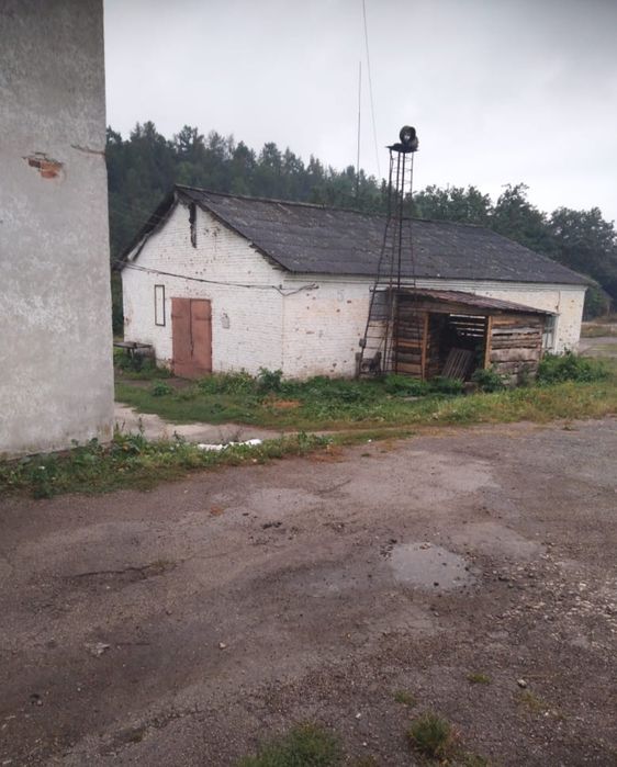 Здається в оренду складське приміщення  в Бережанах