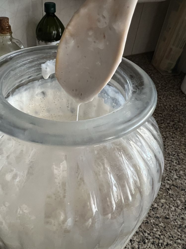 Kefir leite fermentado