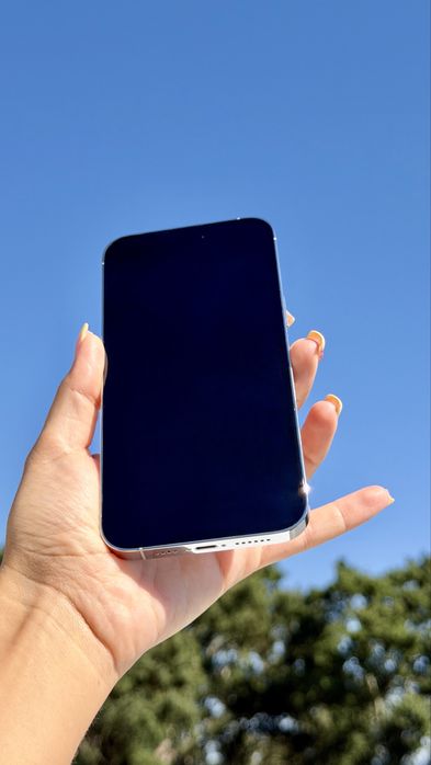 iPhone 14 Pro Max Prateado 256 GB + Acessórios