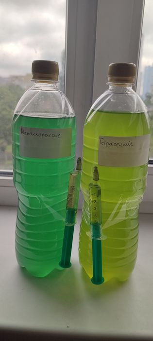 Тетраселміс Tetraselmis. Наннохлоропсис Nannochloropsis. Фітопланктон.