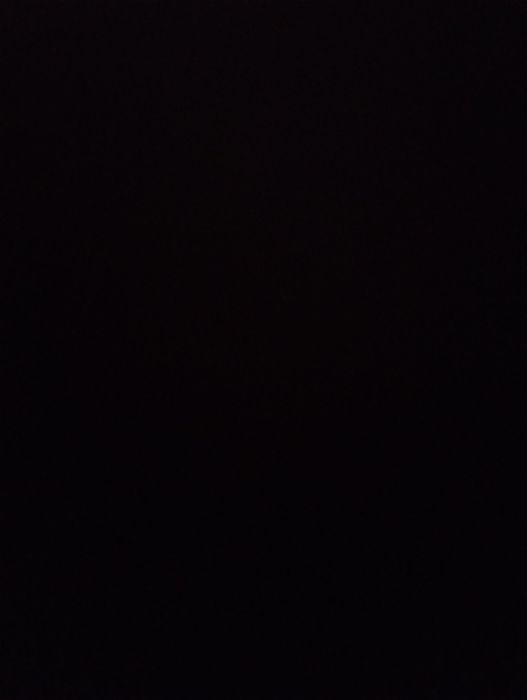 Do wydania pieski za darmo