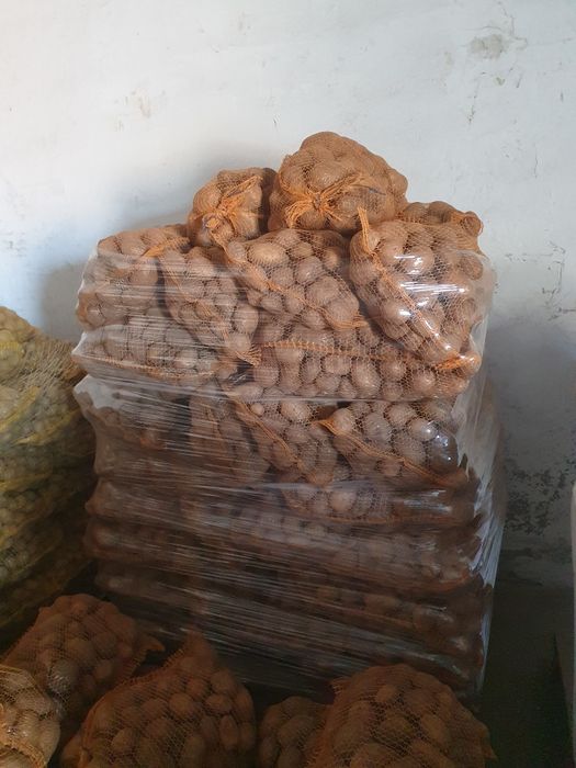 Ziemniaki Soraya Mellody Bellarosa Quinn Anna