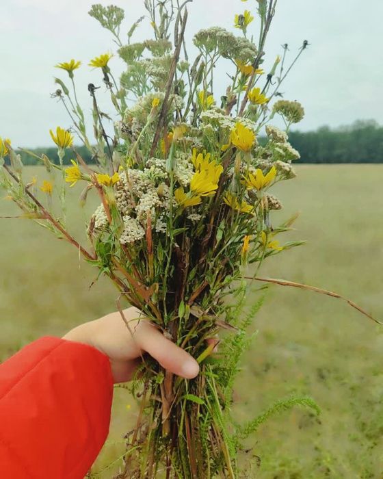 Чаї  у наявності само збір та з Карпат