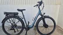E-BIKE Coluer Greenland