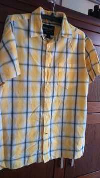 Koszula chłopięca krata żółta z czarnym L-XL -indyjska - kraciasta