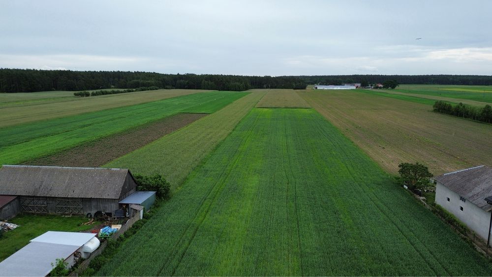 Działka rolno - budowlana 3 h , Komorowo , gmina Rząśnik