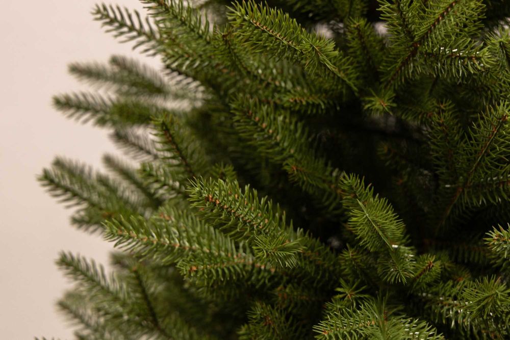 Ялинка Лита Володарка Лісу