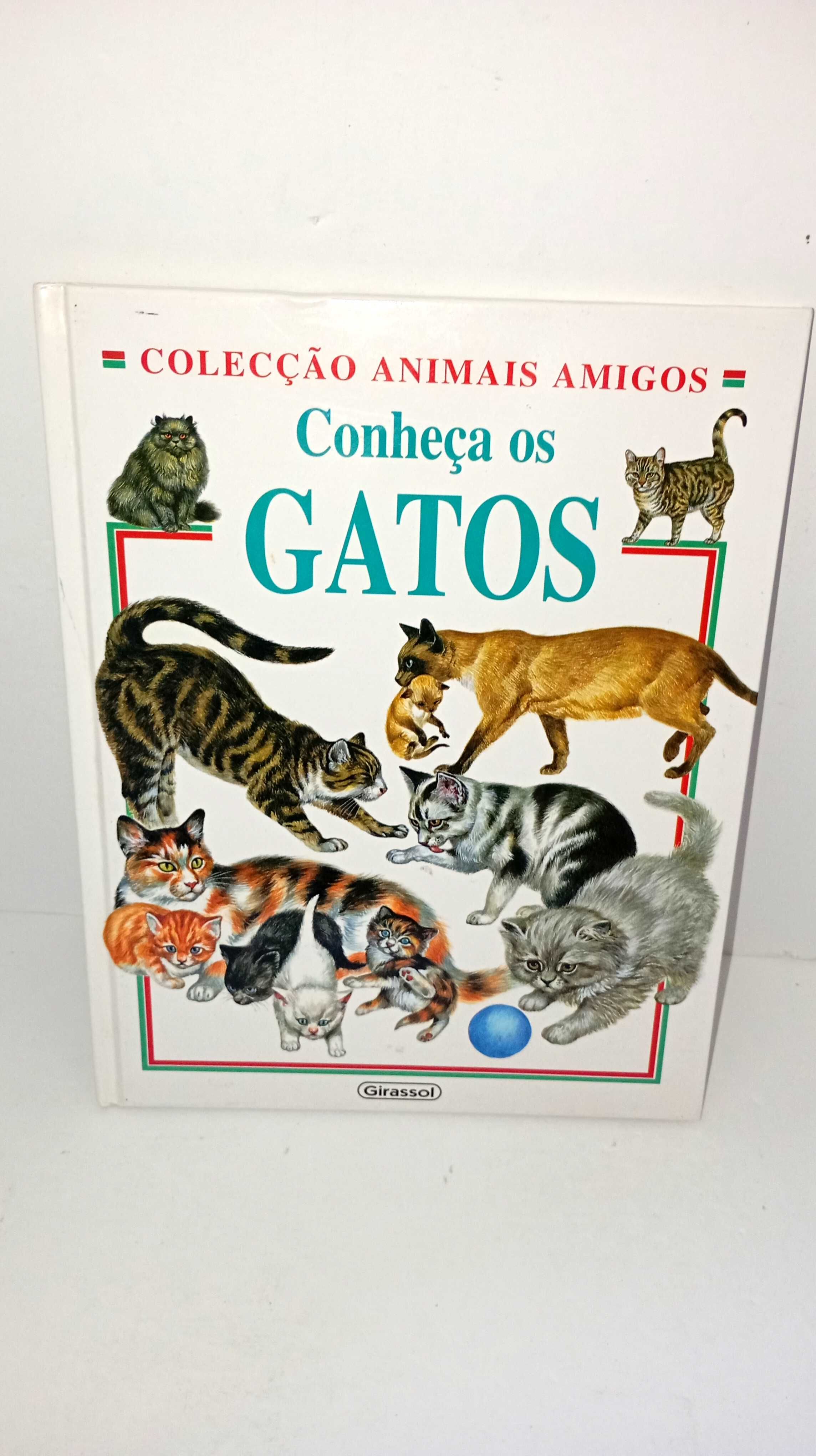 Conheça os Gatos