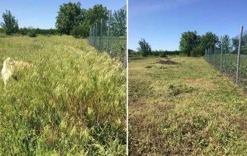 Покос трави,газонів,бур"яну,чистка уборка ділянок.