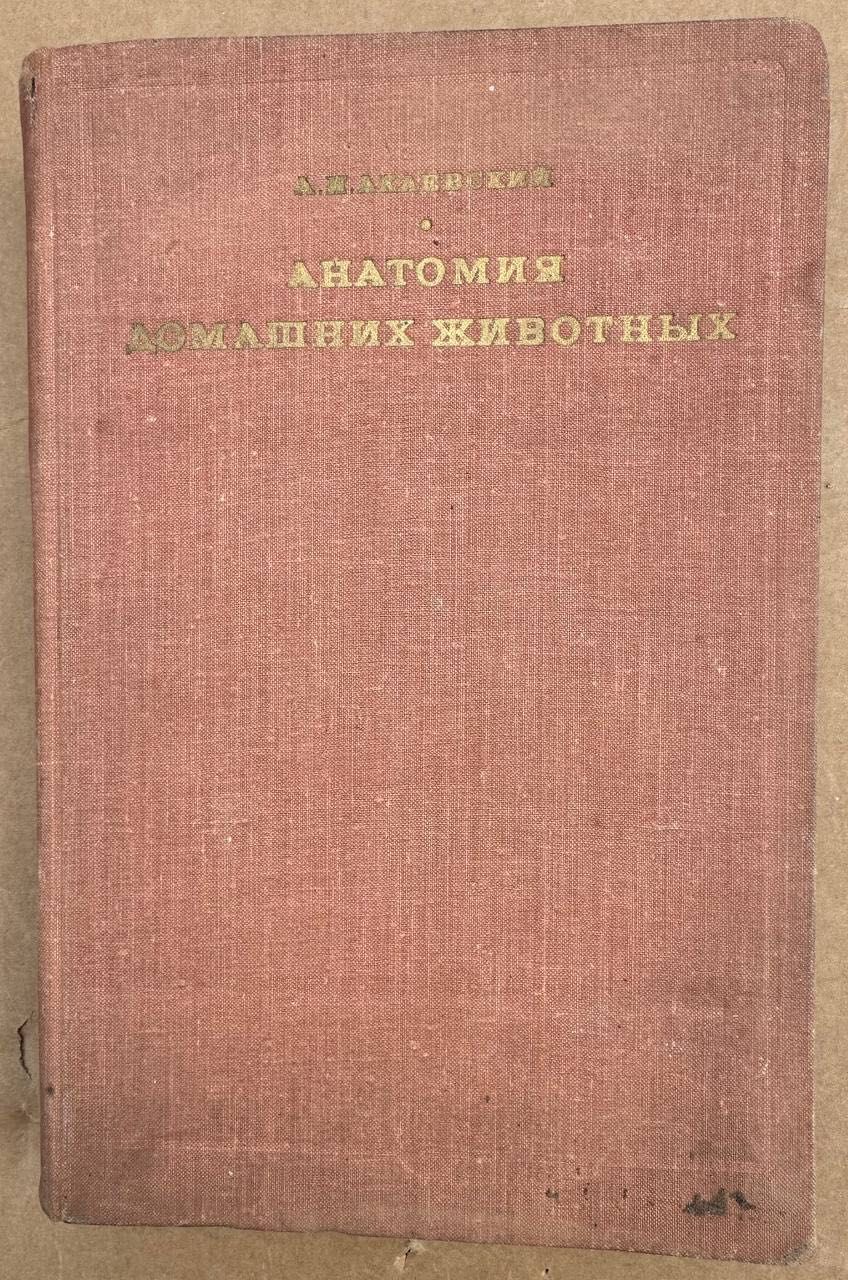 Акаевский А.И. Анатомия домашних животных (1968г.) книга учебник