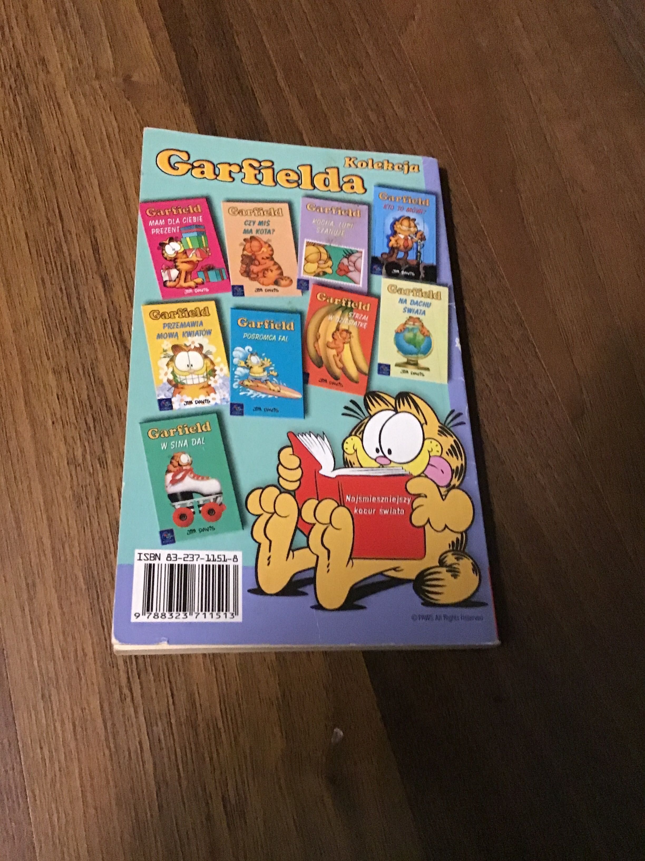 Garfield . Patrzę na ciebie.