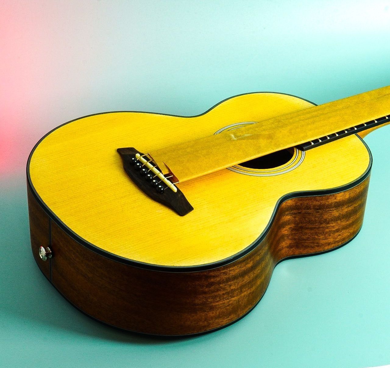 Акустична гітара Donner Parlor Guitar DAL-110D Акустическая гитара раз