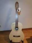 Guitarra Apc - EUC S