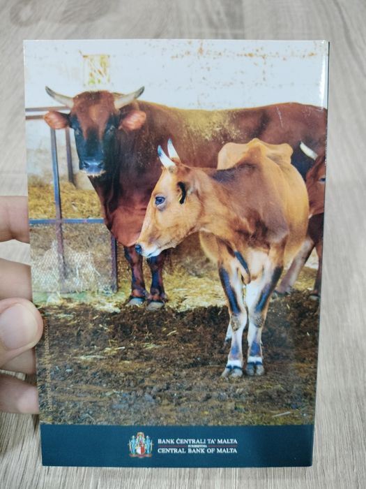 Moeda Comemorativa BNC 2€ Touro Maltês Malta 2025