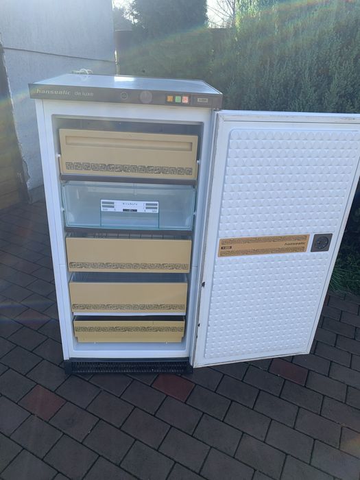 Морозильна камера в робочому стані є доставка