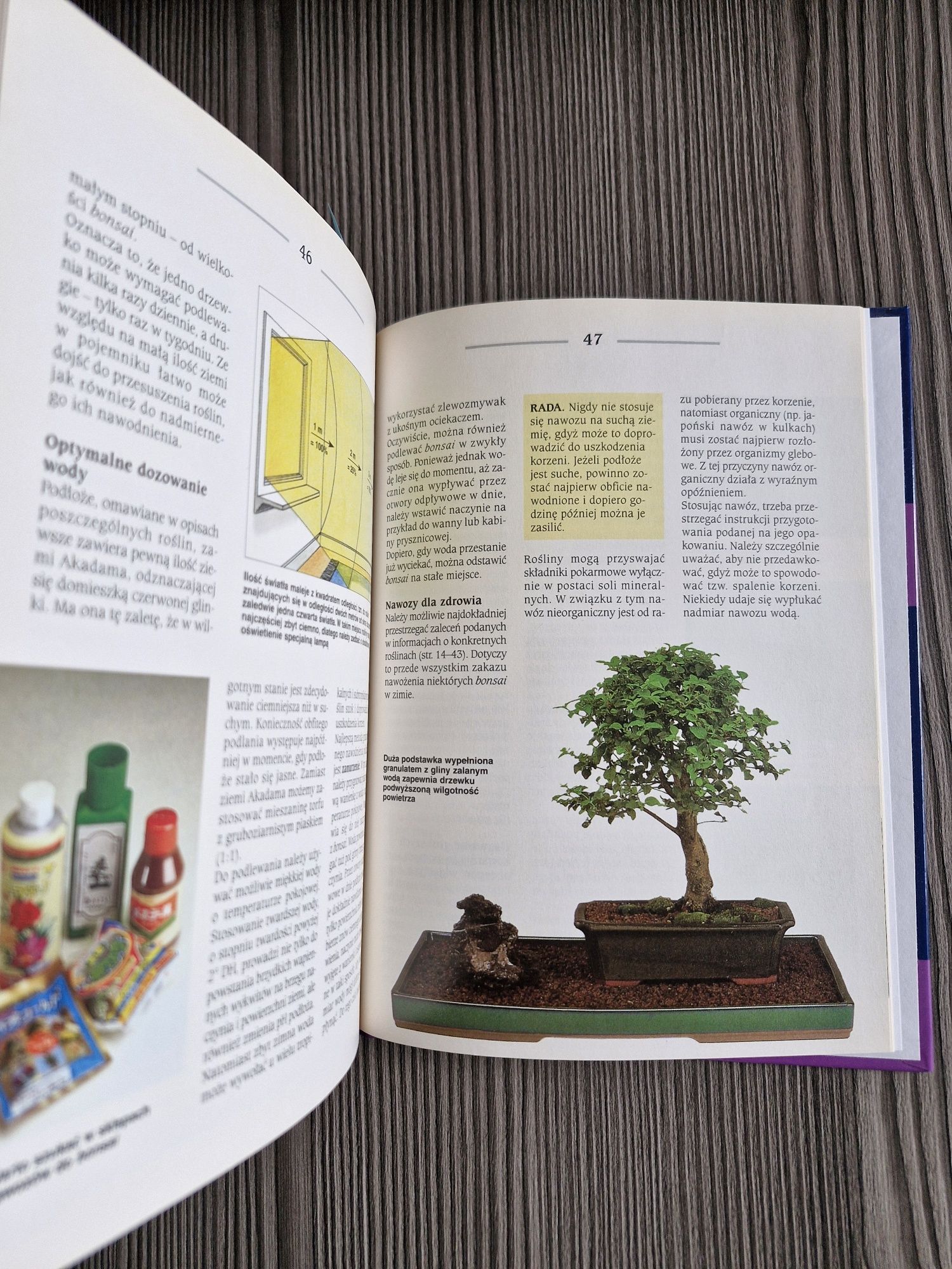 6560. "Bonsai z roślin pokojowych" Horst Stahl, Helmut Ruger