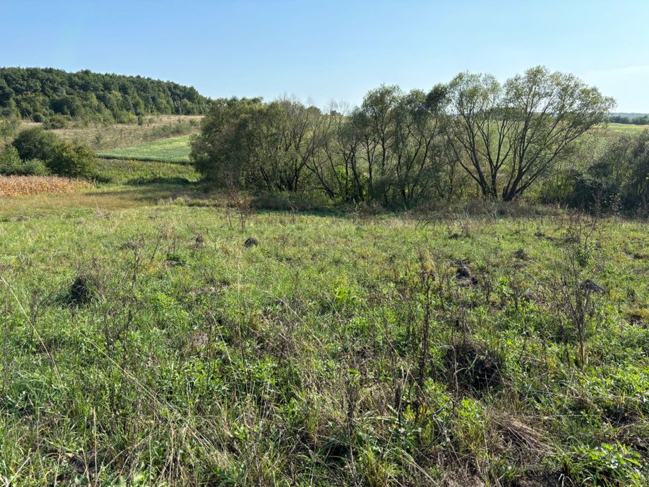 Земельна ділянка в селі Милування_МА