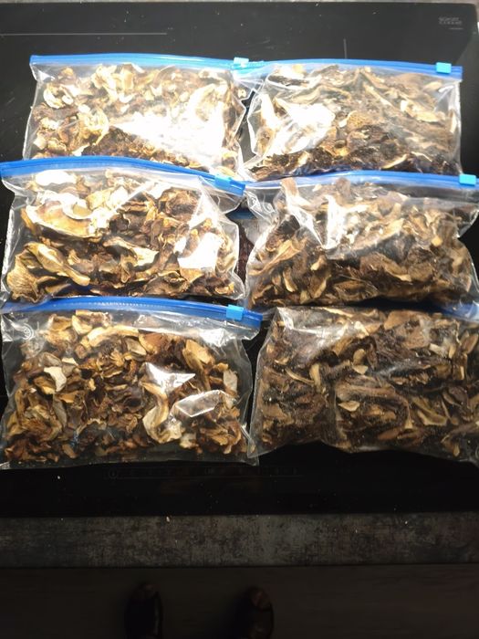 Grzyby suszone prawdziwki