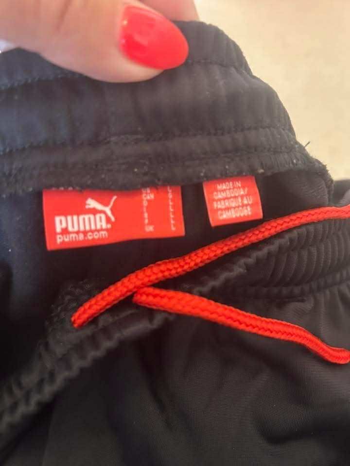Dres orginalny puma