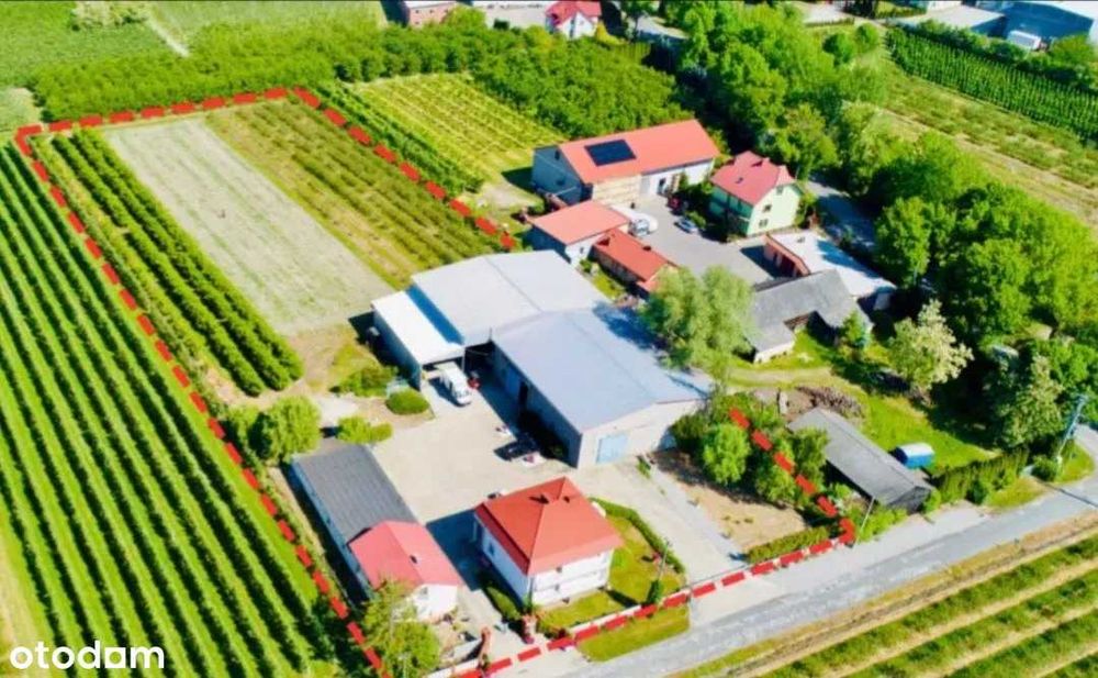 Działający biznes z domem i chłodniami