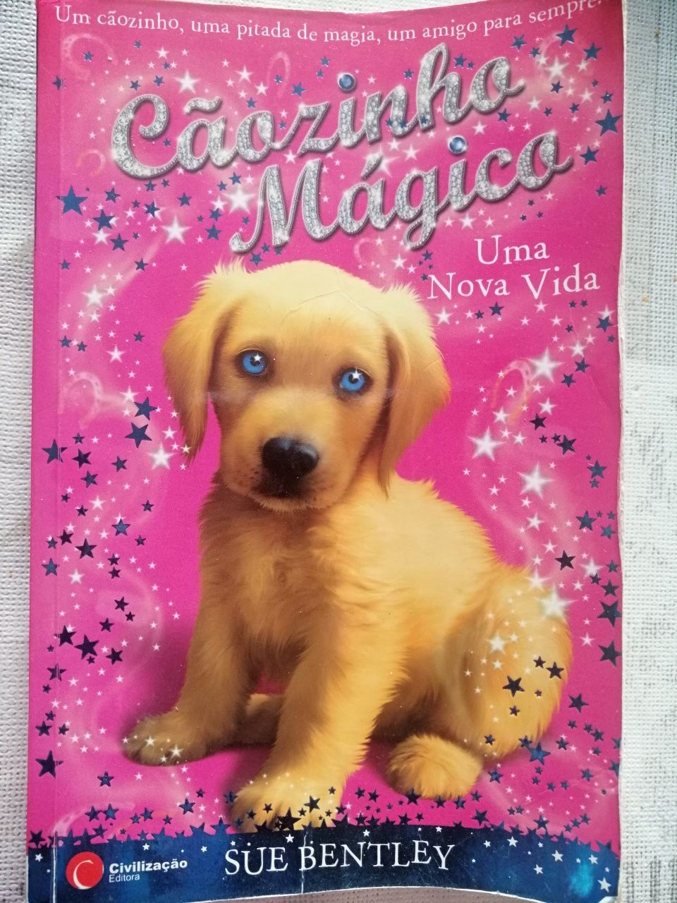 Livro Cães Magicos