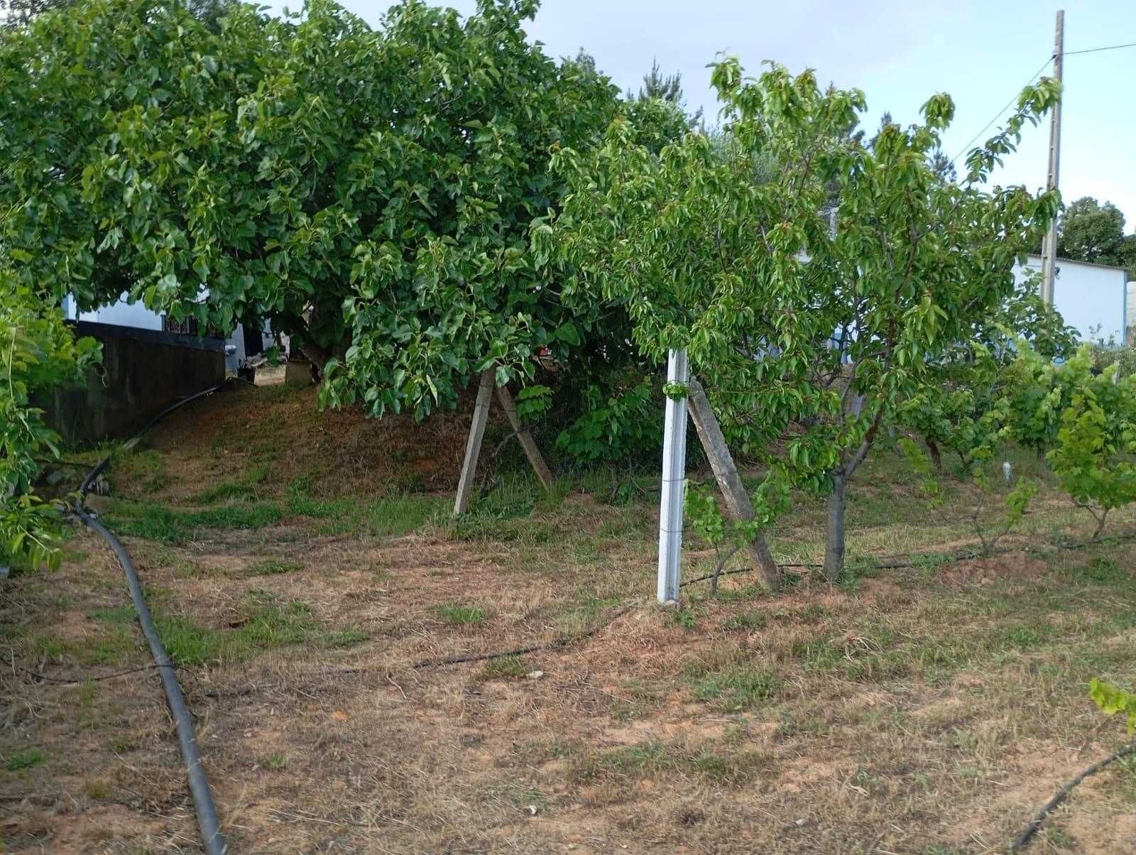 Quinta dos Bons Dias