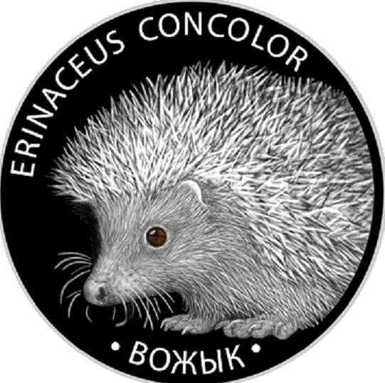 Białoruś - 20 Rubli Jeż