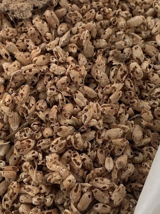 Закуповуємо відходи соняшника, зернових та ріпакових культур