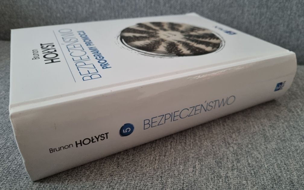 Bezpieczeństwo. Programy promocji. Brunon Hołyst