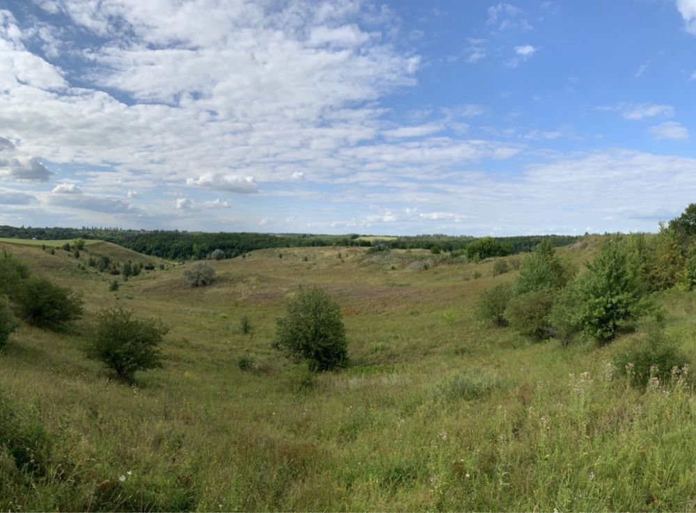 Участок ОСГ. Земельна ділянка у власності. Фермерське господарство.