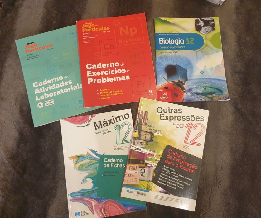 Cadernos de atividades 12 ano