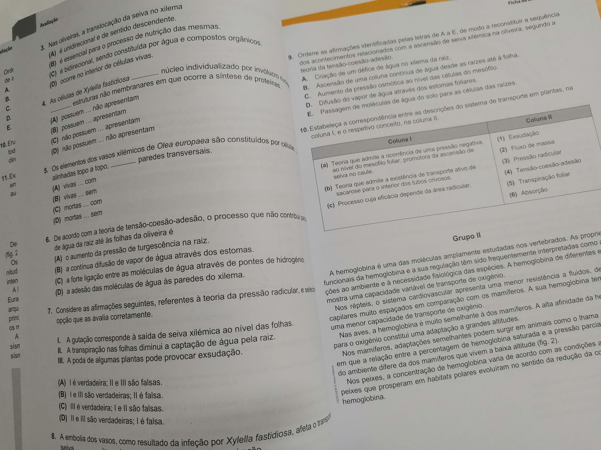 Dossier de apoio ao estudo -do manual Odisseia 10