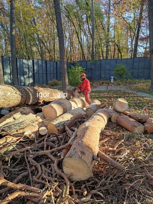 Спилить дерево удалить дерево кронирование видалити дерево альпинист
