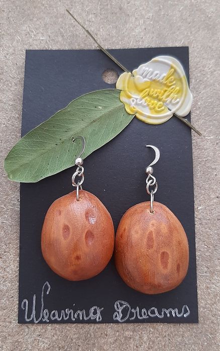 Brincos Eco Chic Abacate - Novos