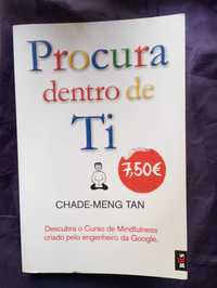 Procura Dentro de Ti - Chade-Meng Tan