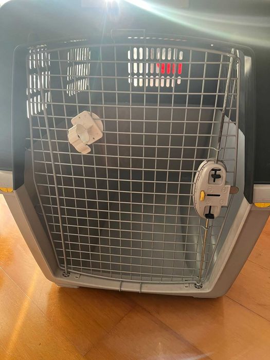 caixa de transporte animais