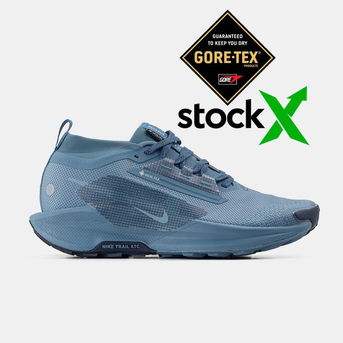 Мужские кроссовки Nike Pegasus Trail 5 GTX Gore-Tex "Blue" 41-45