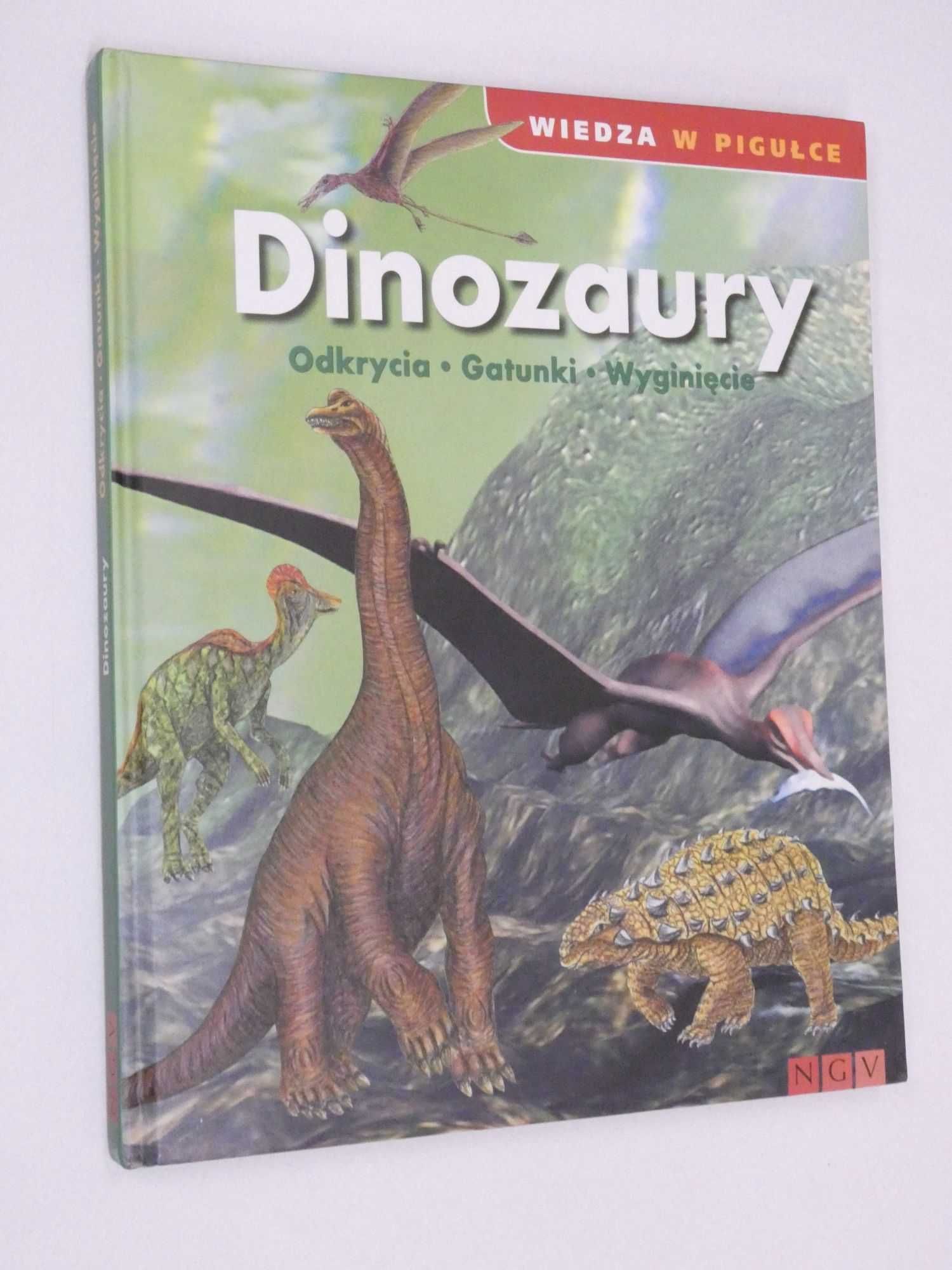 Dinozaury Odkrycia Gatunki Wyhinięcia