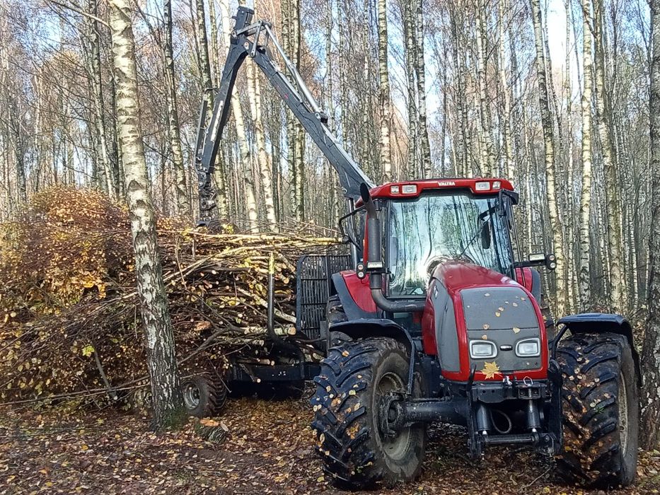 Wycinka drzew,samosiejek,krzakow,Dzierżawa grunow..Usługi Lesne Transp