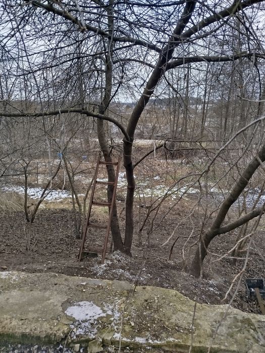 Продам будинок в передмісті