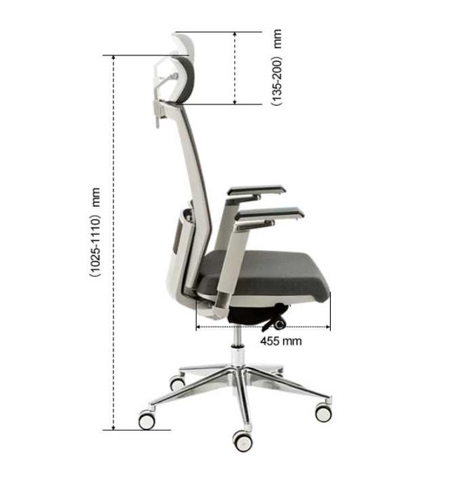 Krzesło Biurkowe Ergonomiczne BS10 (BS10)