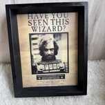 Obraz holograficzny Harry Potter