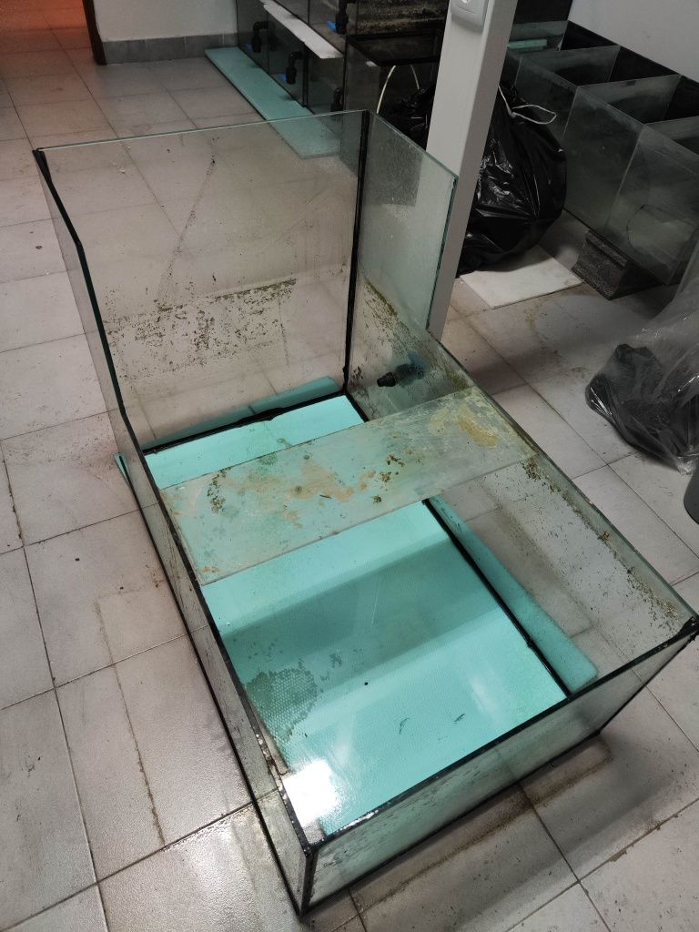 Sump 100x60 convertida em aquário