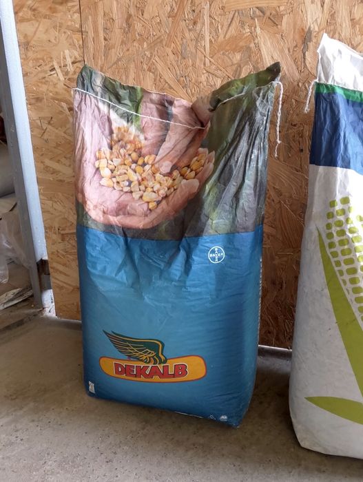 Продам кукурудзу посівну дуже гарної якості