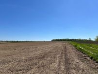 Продаж земельної ділянки у Вороновиці